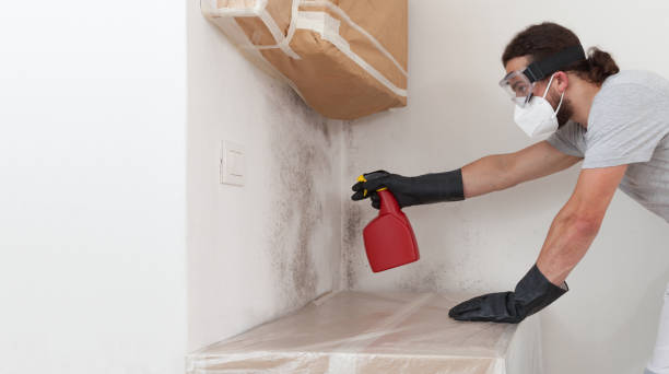 Professional Bathroom Mold Removal technician working in Stafford, OR