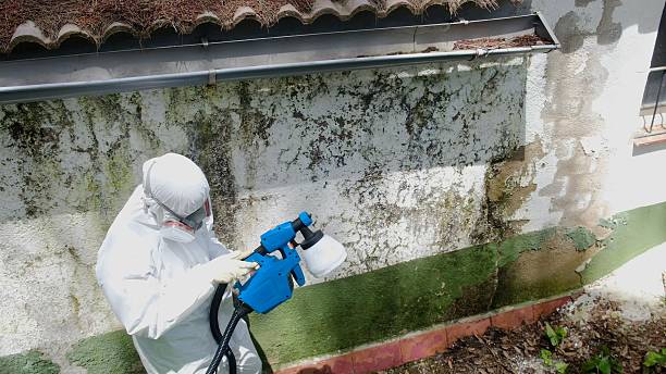 Trusted Bathroom Mold Removal service in Stafford, OR - Cheap Mold Removal
